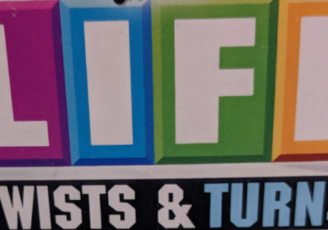 Life the game of twists and turns - just like the life of a special needs parent